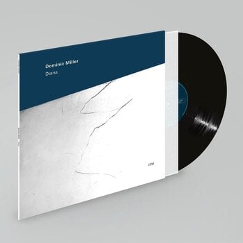 LP deska Dominic Miller - Diana (LP) - 2
