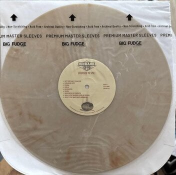 LP deska Richard Cheese - Licensed To Spill (Limited Edition) (Transparent Champagne Coloured) (LP) - 4
