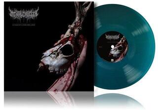 Vinila plate Mental Cruelty - Echoes Of A Forlorn Land (Us Version) (Translucent Sea Blue Coloured) (LP) - 1