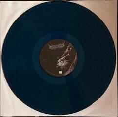 Vinila plate Mental Cruelty - Echoes Of A Forlorn Land (Us Version) (Translucent Sea Blue Coloured) (LP) - 3