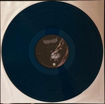 Vinila plate Mental Cruelty - Echoes Of A Forlorn Land (Us Version) (Translucent Sea Blue Coloured) (LP) - 4