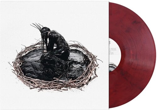 Vinila plate Entheos - Empty On The Inside (Red & Black Marbled Coloured) (LP) - 2