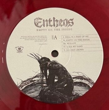 Vinila plate Entheos - Empty On The Inside (Red & Black Marbled Coloured) (LP) - 4