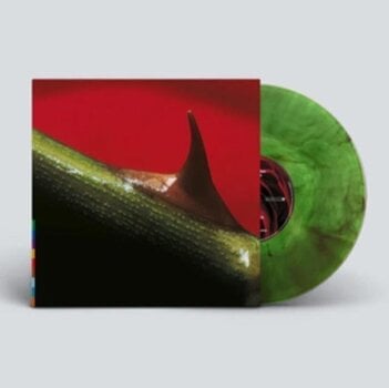 LP plošča Nusrat Fateh Ali Khan & Michael Brook - Night Song (30th Anniversary/Special Edition) (Rose-Leaf-Green Coloured) (LP) - 2