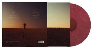LP plošča Ziggy Alberts - Twin Flames (Gatefold) (Eco-Mix Coloured) (LP) - 1