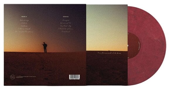 LP plošča Ziggy Alberts - Twin Flames (Gatefold) (Eco-Mix Coloured) (LP) - 2