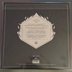 Hanglemez Within Temptation - Hydra (Limited Edition) (Gatefold) (Silver/White Half/Half Coloured) (2 LP) - 2