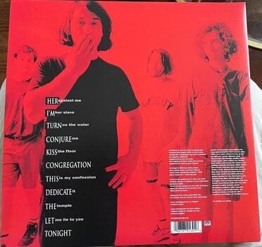 Schallplatte The Afghan Whigs - Congregation (Limited Edition) (Pearl Flip & Horizon Coloured) (2 LP) - 3