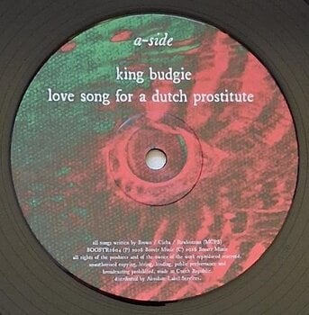 LP deska The Boo Radleys - King Budgie EP (10" SP) - 3