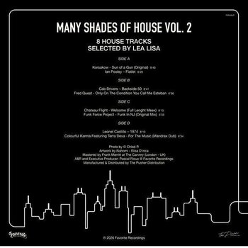 Vinyl Record Various Artists - Many Shades Of House (Selected By Lea Lisa) Vol.2 (Gatefold) (2 LP) - 2