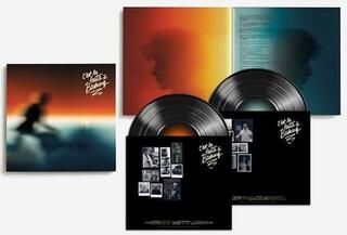 Disc de vinil Various Artists - C'est La Faute À Bashung (2 LP) - 1