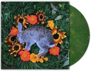 Schallplatte Monolord - Your Time To Shine (LP) - 1
