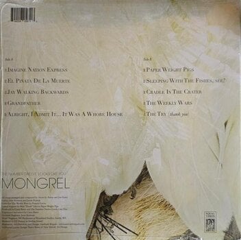 Disc de vinil The Number Twelve Looks Like You - Mongrel (Remastered) (Lime/Black White Coloured) (LP) - 3