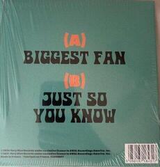 Vinyl Record Dayglow - Biggest Fan / Just So You Know (Limited Edition) (7" SP) - 2