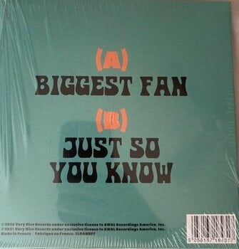 Vinyl Record Dayglow - Biggest Fan / Just So You Know (Limited Edition) (7" SP) - 3