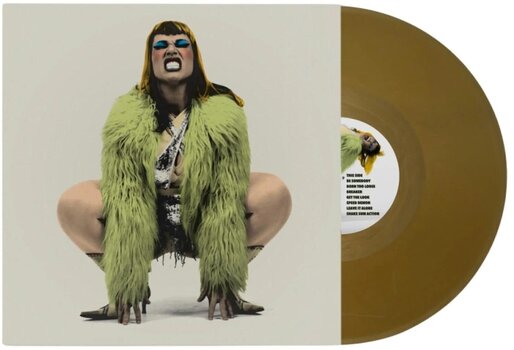 Vinyl Record Split Dogs - Nice N' Rough (Gold Coloured) (LP) - 2