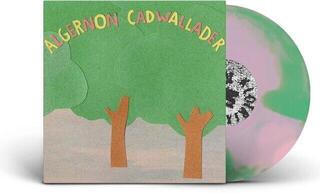 LP deska Algernon Cadwallader - Some Kind Of Cadwallader (Pink/Green Swirl Coloured) (LP) - 1