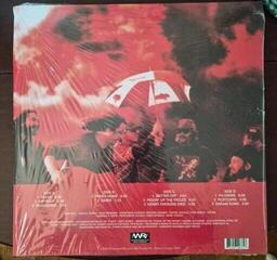 Vinylskiva Widespread Panic - Everyday (Maroon/Black Swirl & Maroon/White Swirl Coloured) (2 LP) - 1