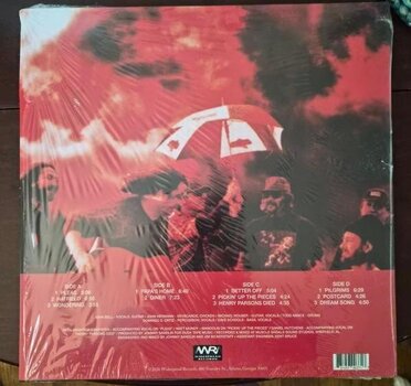 Vinyl Record Widespread Panic - Everyday (Maroon/Black Swirl & Maroon/White Swirl Coloured) (2 LP) - 2