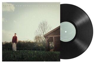 LP ploča Berre - How Beautiful This Life Is (180 g) (EP) - 1