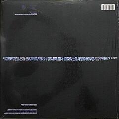 Disc de vinil Colin Stetson & Brighde Chaimbeul - All The Light In The World (Limited Edition) (LP) - 1