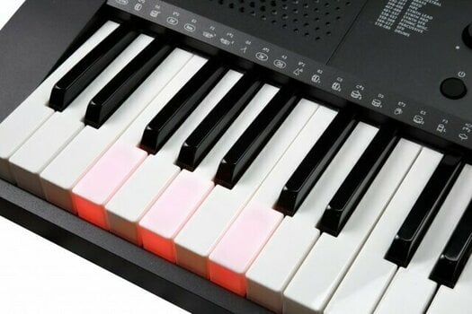 Keyboard with Touch Response Kurzweil KP90L - 10