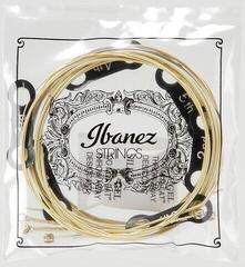 Struny pro akustickou kytaru Ibanez IACS6C Struny pro akustickou kytaru - 2