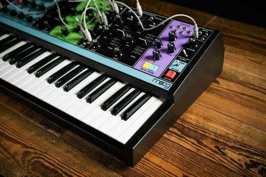 Synthesizer MOOG Matriarch Coloured-Black - 3