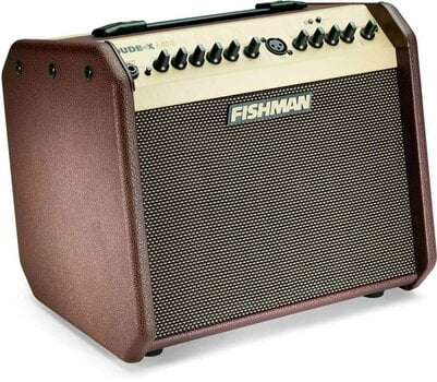 Combo pour instruments acoustiques-électriques Fishman Loudbox Mini - 3