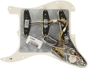 Apsauginis grifas Fender Pre-Wired Pickguard Strat SSS FAT 50s SHELL - 1