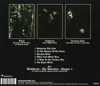 Vinylskiva Darkthrone - A Blaze In A Northern Sky (LP) - 2
