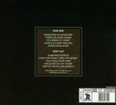 LP deska Electric Boys - The Ghost Ward Diaries (LP) - 2