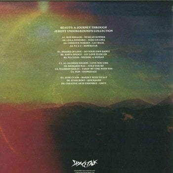 Disque vinyle Jeremy Underground - Beauty: A Journey Through Jeremy Underground's Collection (2 LP) - 2