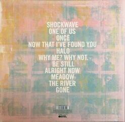 Płyta winylowa Liam Gallagher - Why Me? Why Not. (LP) - 4