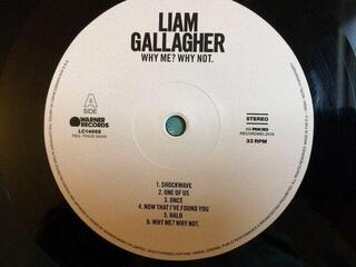 Płyta winylowa Liam Gallagher - Why Me? Why Not. (LP) - 2