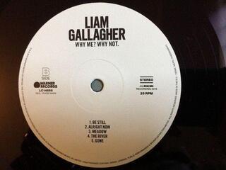 Płyta winylowa Liam Gallagher - Why Me? Why Not. (LP) - 3