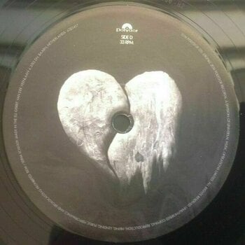 Vinylskiva Michael Kiwanuka - Love & Hate (2 LP) - 5