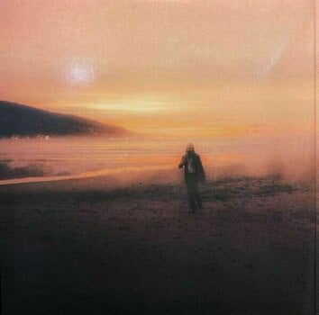 Disco de vinil Nick Cave & The Bad Seeds - Ghosteen (2 LP) - 2