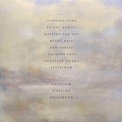 Vinilinė plokštelė Nick Cave & The Bad Seeds Ghosteen (2 LP) - 2