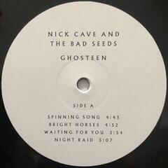 Vinilinė plokštelė Nick Cave & The Bad Seeds Ghosteen (2 LP) - 3