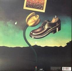 Vinyl Record Nick Drake - Pink Moon (LP) - 1
