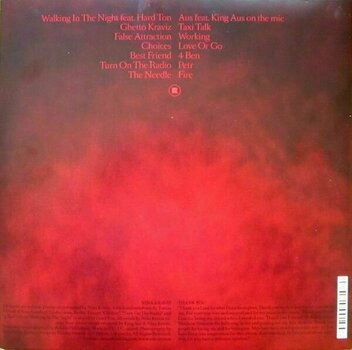 Vinyl Record Nina Kraviz - Nina Kraviz (2 LP) - 2