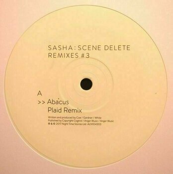 Vinyl Record Sasha - Scene Delete: Remixes #3 (10" Vinyl) - 3