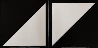 Schallplatte Avicii - TRUE (LP) - 3