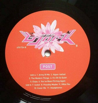 Vinyl Record Björk - Post (LP) - 6