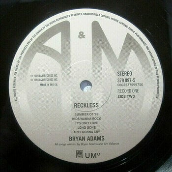 Vinyl Record Bryan Adams - Reckless (2 LP) - 4