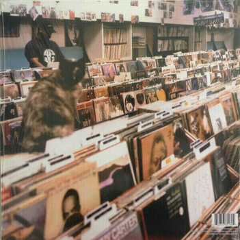 Vinylplade DJ Shadow - Endtroducing... (Reissue) (180g) (2 LP) - 2
