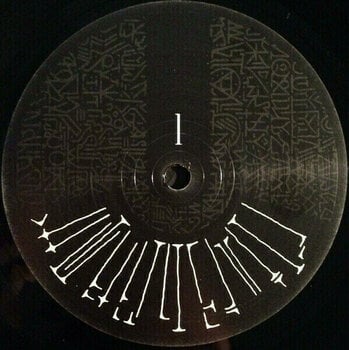 Disque vinyle MF Doom Born Like This (2 LP) - 3