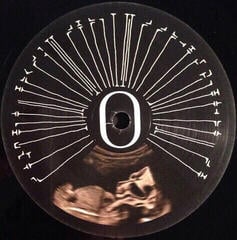 Disco in vinile MF Doom - Born Like This (2 LP) - 4