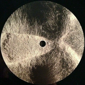 Disque vinyle MF Doom Born Like This (2 LP) - 6